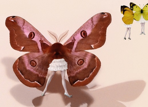 「蝶獣戯画（部分）」鬼や生き物が豊かに表現された時代。美しい蛾は、当時の女子に人気のあったヒメヤママユ。