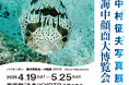 美術館「えき」KYOTOにて「中村征夫写真展 海中顔面大博覧会」開催!