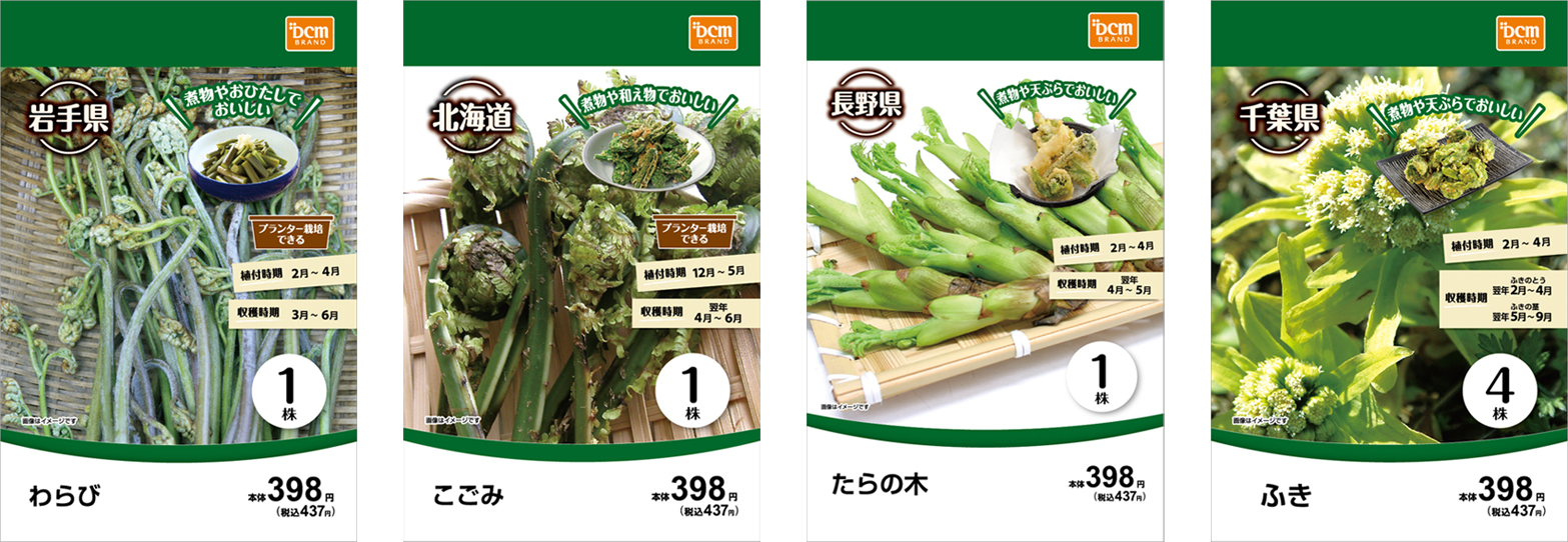 春に収穫を楽しめる山菜を中心とした球根シリーズ Dcmブランド 野菜球根シリーズ 新発売 Dcm株式会社のプレスリリース