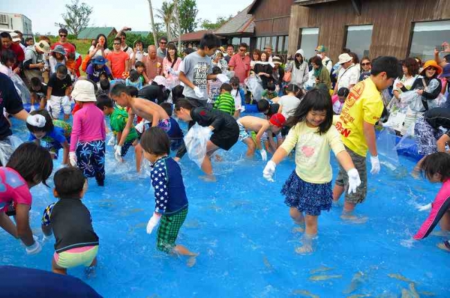 活魚掴み取り大会