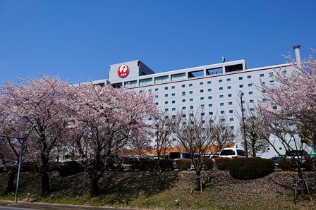 ホテル正面の桜