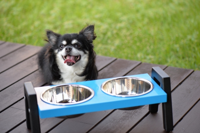 犬用食器台テーブル
