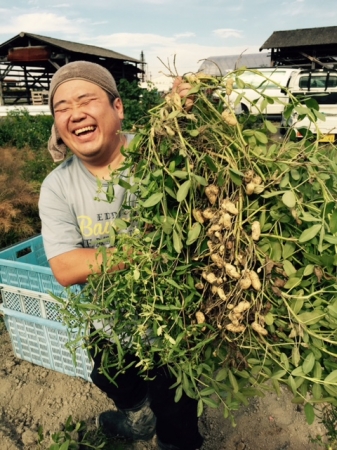 株式会社泉州アグリ （野菜収穫風景）