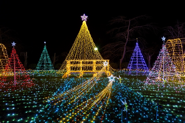 ホテル日航成田 Led電球5万個によるイルミネーションがお迎え クリスマスディナーバイキング ニッコー ホテルズ インターナショナルのプレスリリース