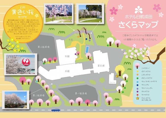 桜の位置や種類を載せた「さくらマップ」