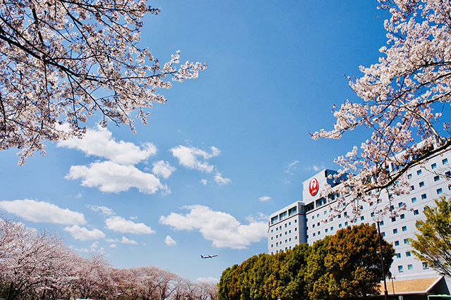 【ホテル日航成田】「桜めでる2020」フォトコンテストを開催　今年からInstagramでの応募も可能に