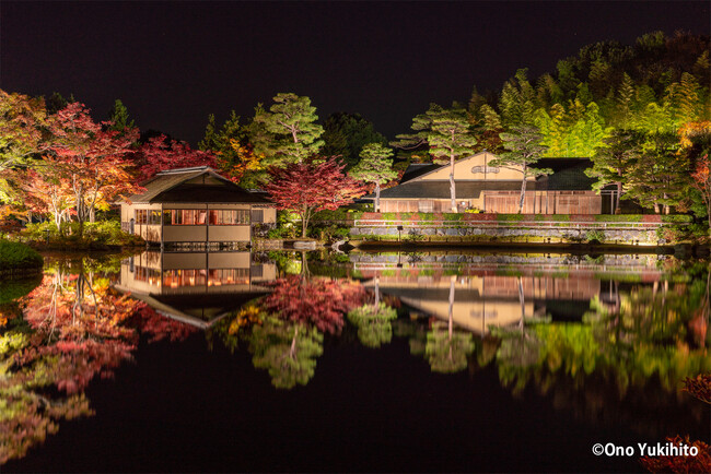 日本庭園ライトアップイメージ