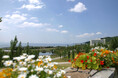 【グランドニッコー淡路】淡路花博25周年記念・花みどりフェア2025ステイプランを2025年2月3日(月)より販売
