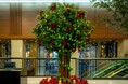 【ホテル日航大阪】11月11日よりロビーにクリスマスツリーが登場