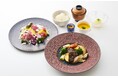 【ホテル日航大阪】昨年に続く第2弾『からだサポートランチ2026』を8月31日（月）より提供