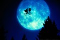 12月4日は“E.T.の日”思い出のシーン、懐かしのシーンなど「あなた好きな映画『E.T.』の名場面」のアンケート結果を発表！！さらに「宇宙人は存在する？」の質問に多くの人が‟YES”