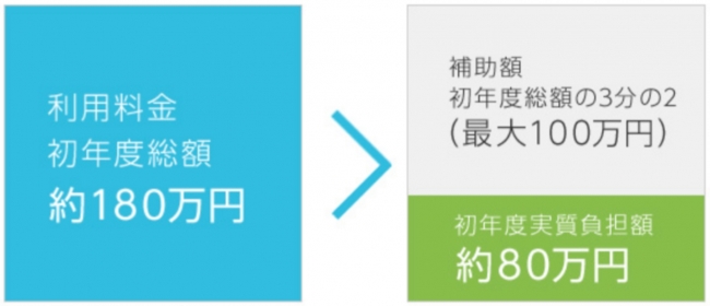 IT導入補助金活用による初年度実質負担額（「HealtheeOneクラウド」 スタンダードプラン）