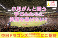 小児がんの子どもたちをプロ野球観戦に招待するクラウドファンディングを開始しました。