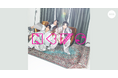 結成22周年目に突入のNEWSが、ついに全曲サブスク解禁!1stアルバム『touch』から最新アルバム『JAPANEWS』までアルバム全16タイトルが「AWA」で配信開始