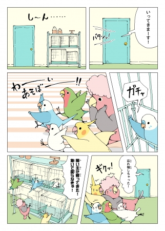 飼い主が居ないお家はボク達のひみつきち！ないしょのリア鳥生活