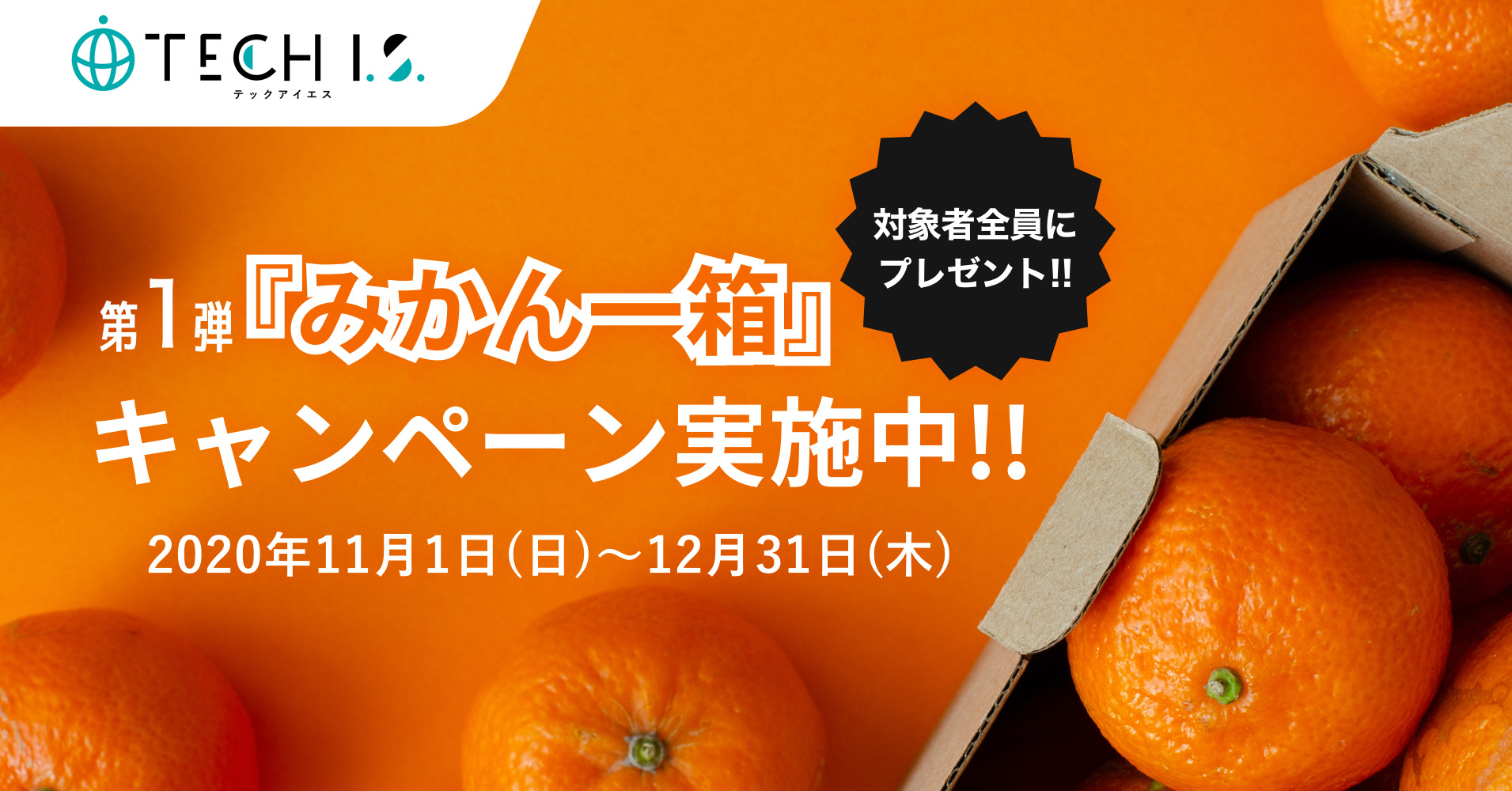 It 地方活性化 愛媛みかんプログラミングスタートキャンペーンを11月1日より開始しました 株式会社テックアイエス のプレスリリース