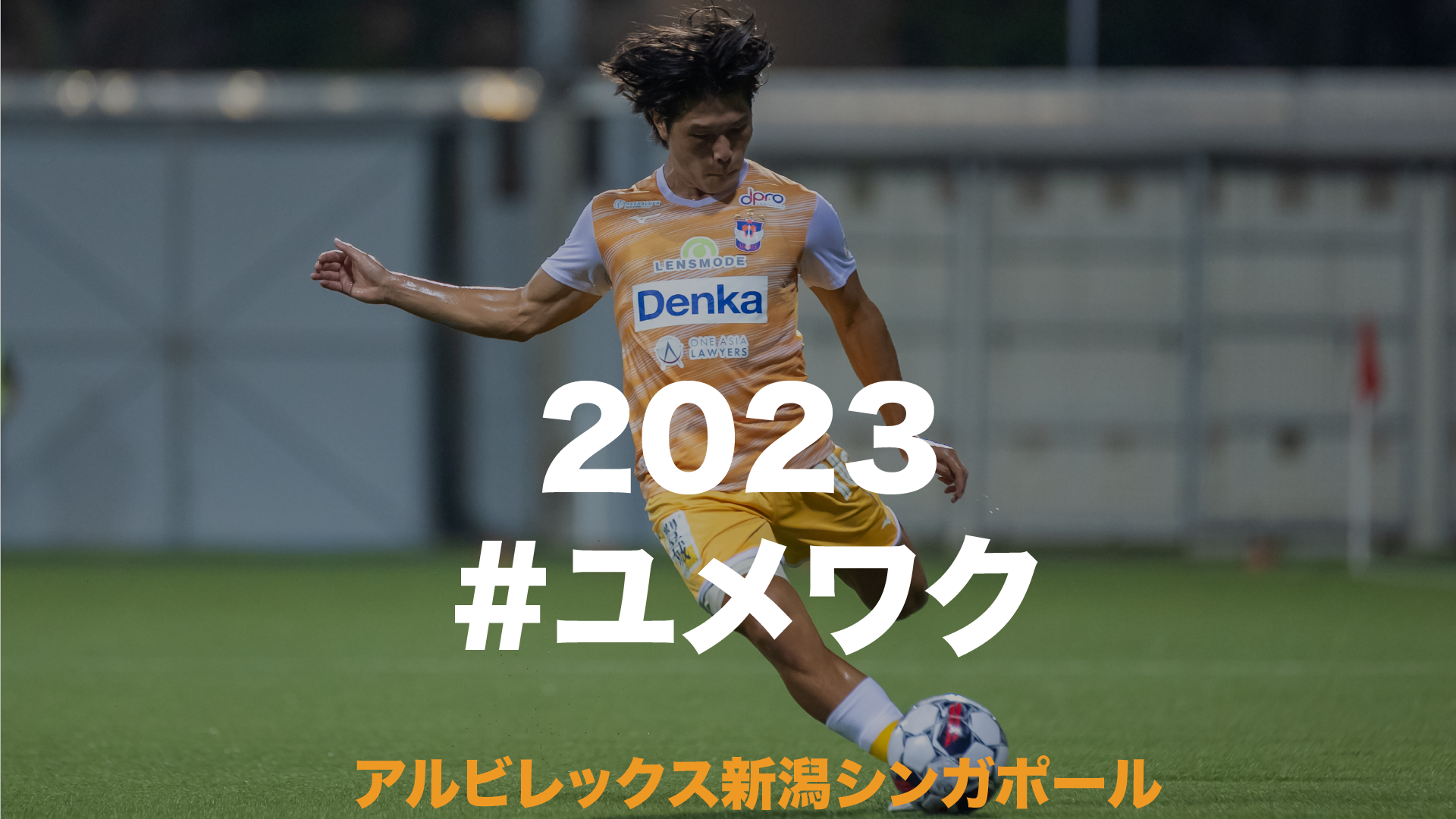 アルビレックス新潟 トレーニングトップ2021シーズン | dizmekaro.com