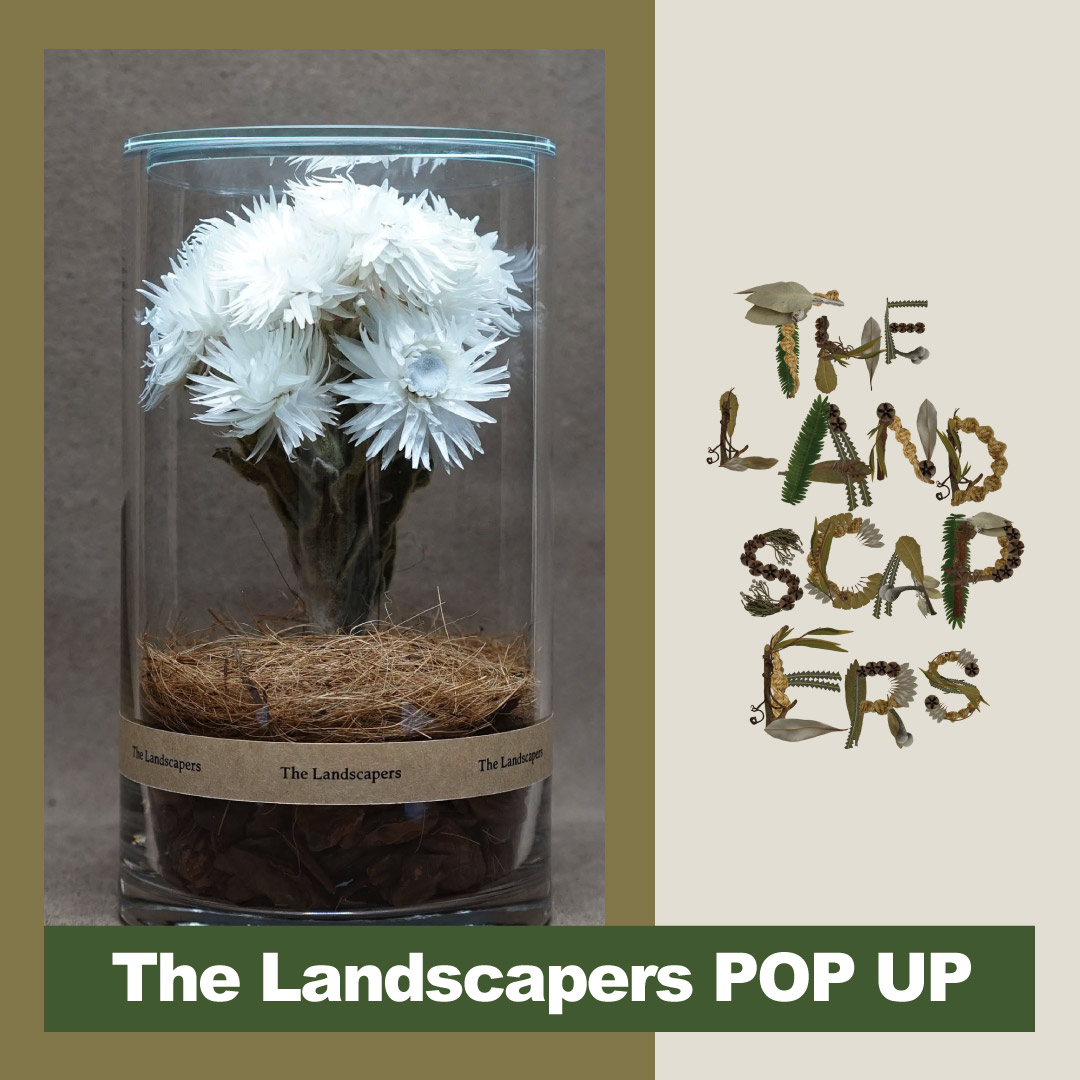 10月7日 金 阪急西宮ガーデンズにfreak S Storeがニューオープン 株式会社デイトナ インターナショナルのプレスリリース