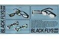 「BLACK FLYS」 × 「FREAK’S STORE」、サンクレメンテ発アイウェアブランドとの別注サングラス全3型が登場！