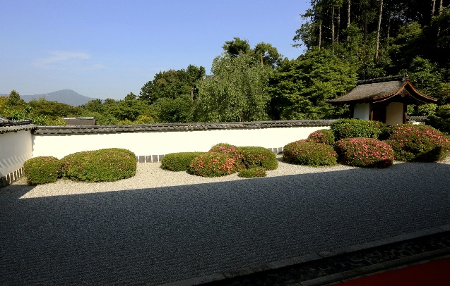 デヴィッド ボウイの愛した京都の足跡をたどる日帰りバスツアーが開催決定 Amass