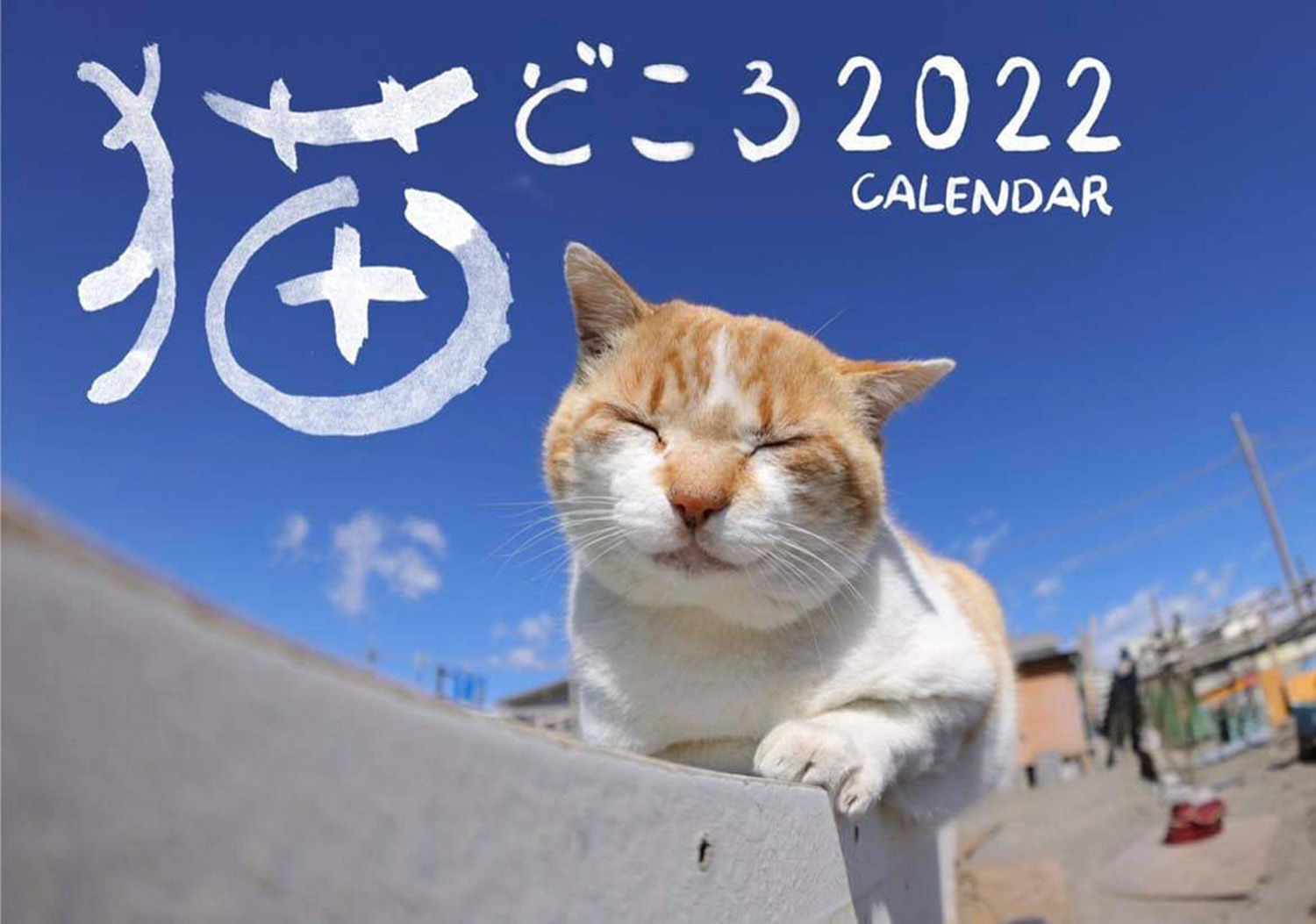 各地で出会った猫たちの写真でつづる 毎年恒例「猫どころカレンダー」2022年版発売｜産経新聞社のプレスリリース