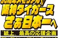 さぁ阪神日本一へ〝紙上〟最高の応援企画始動!! サンスポMVPファン交歓会でも感動を味わおう