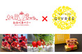 福島県大熊町の特産イチゴの魅力発信「おおくまベリー×メゾンジブレー」オリジナルスイーツ販売