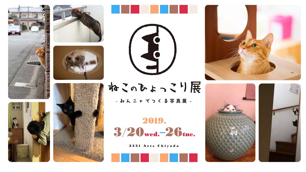 ねこのひょっこり展 日開幕 癒やしの ひょっこりにゃん 写真400点以上が大集合 産経新聞社のプレスリリース