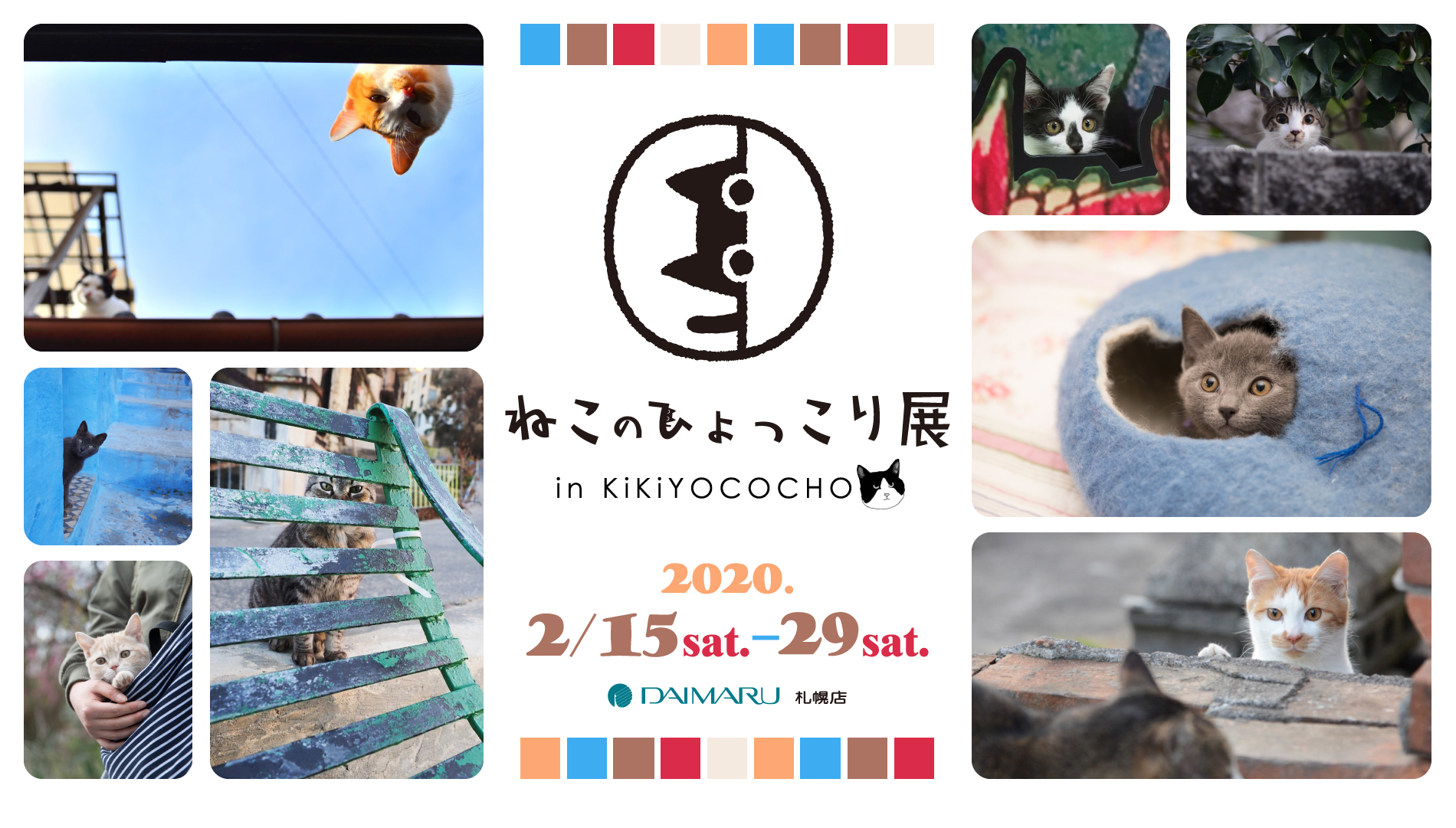 ねこのひょっこり展 In Kikiyococho 展示作品募集 会場が猫の写真で埋め尽くされる 来年2月15日から大丸札幌 店 産経新聞社のプレスリリース