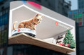 クリスマスの新宿に巨大なロボット掃除機と子猫が飛び出す！？ 3Ｄビジョン広告で話題の「クロス新宿ビジョン」にRoborockが動画広告を展開
