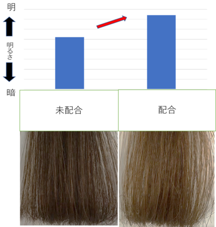図2) 脱色効果の確認（色差計測定値、毛髪外観画像）