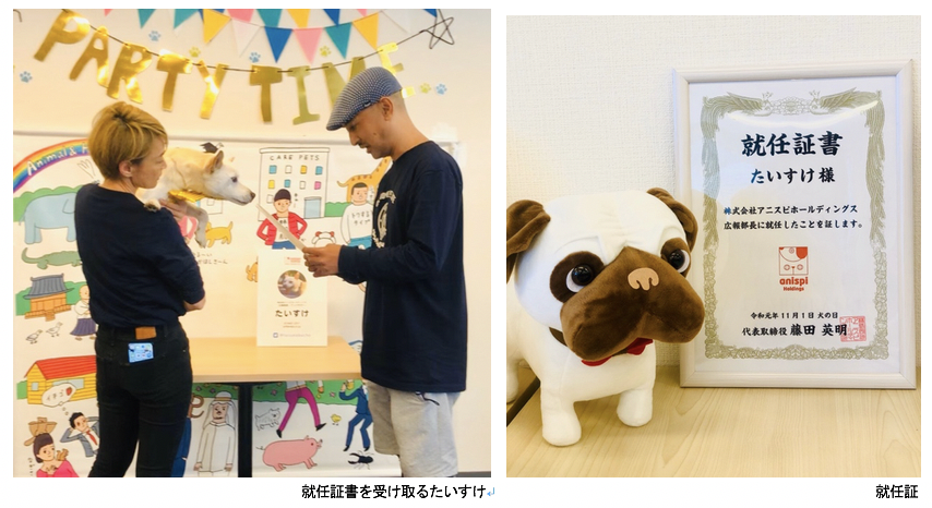 ワンワンワン 11月1日は犬の日 保護犬 たいすけ アニスピ広報部長に就任 株式会社アニスピホールディングスのプレスリリース