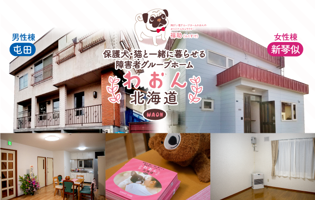 D22736 85 529147 0
