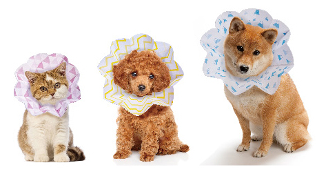 ペットにも 飼い主さんにも 病院の先生も嬉しい 軽くて 使い捨てだから衛生的 折りたためて小さくなる コンパクトエリザベスカラー Erico 新登場 Hario株式会社のプレスリリース