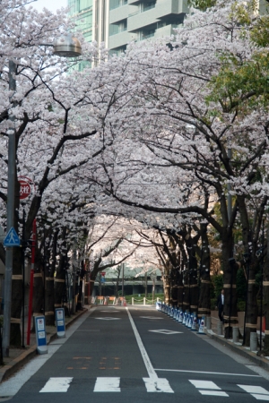 アークヒルズ桜坂