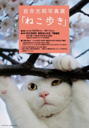 《岩合光昭写真展「ねこ歩き」ポスター》