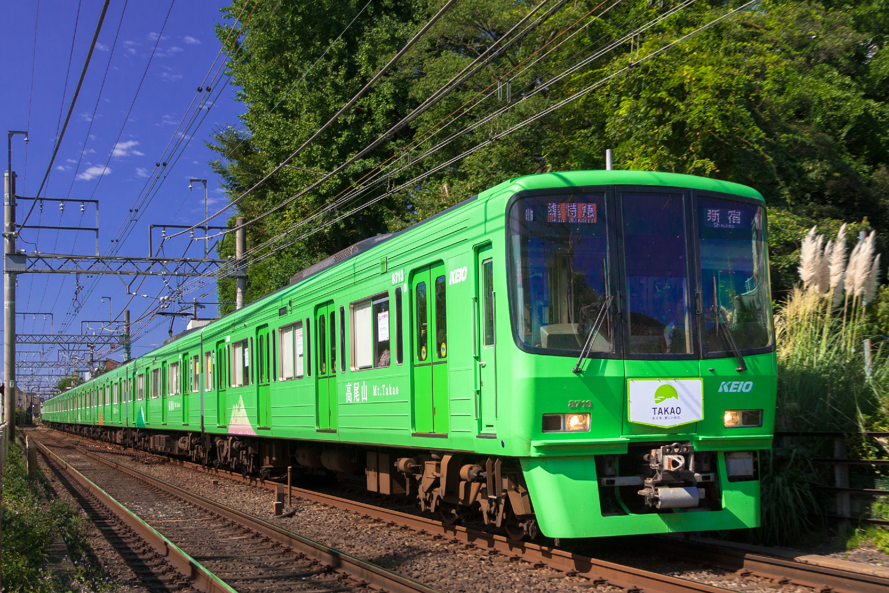 京王電鉄のラッピング車両「高尾山トレイン」が「第１０回東京屋外広告 