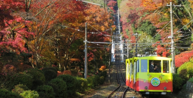 ≪秋の高尾山を走るケーブルカー≫