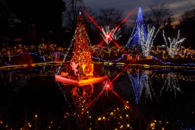 京王フローラルガーデン アンジェにて「アンジェのクリスマス」を開催