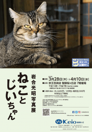 《岩合光昭写真展「ねことじいちゃん」チラシイメージ》