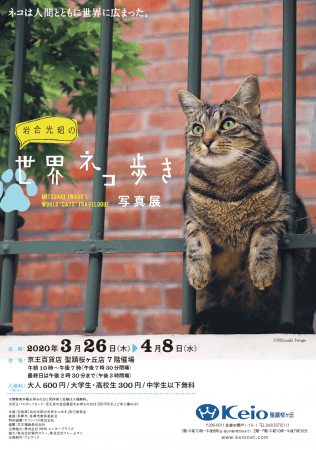「岩合光昭の世界ネコ歩き写真展」チラシイメージ