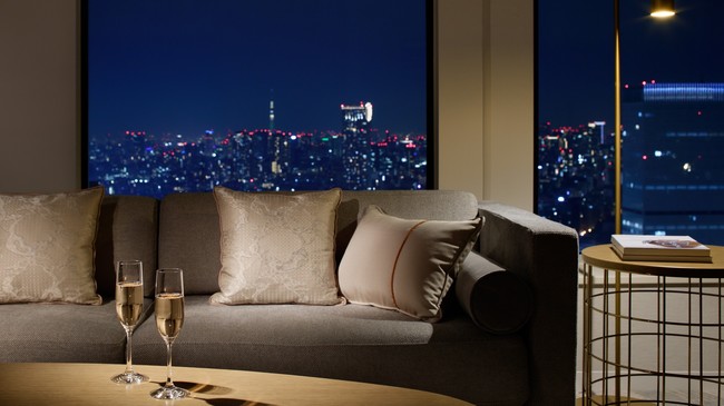 ＜京王沿線バーチャル背景　「プレミアグラン」内覧＞