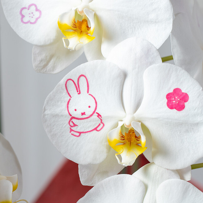 ※お花ちらし柄