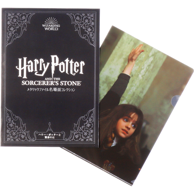 Harry Potter シークレット A4クリアファイル - アニメグッズ