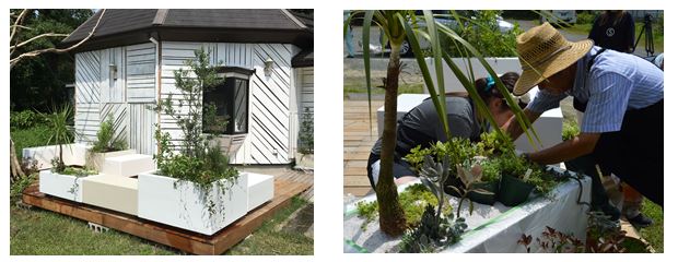 野々島学園に設置したD’sガーデンpuzzleと植栽植え込み・メンテナンス作業の様子