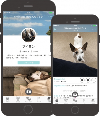 犬・猫の写真共有スマートフォンアプリ「ドコノコ」