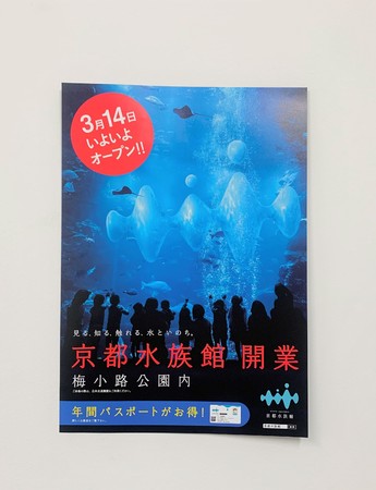 「あの頃のチラシ」 「あの頃のチラシ」