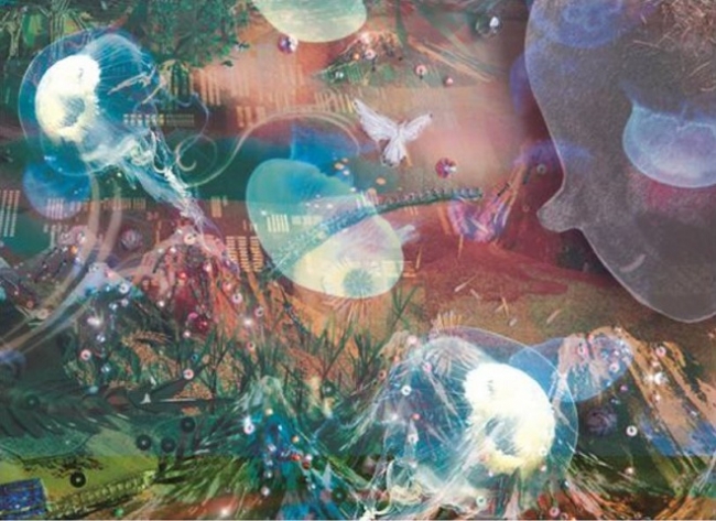 「クラゲの森」イメージ