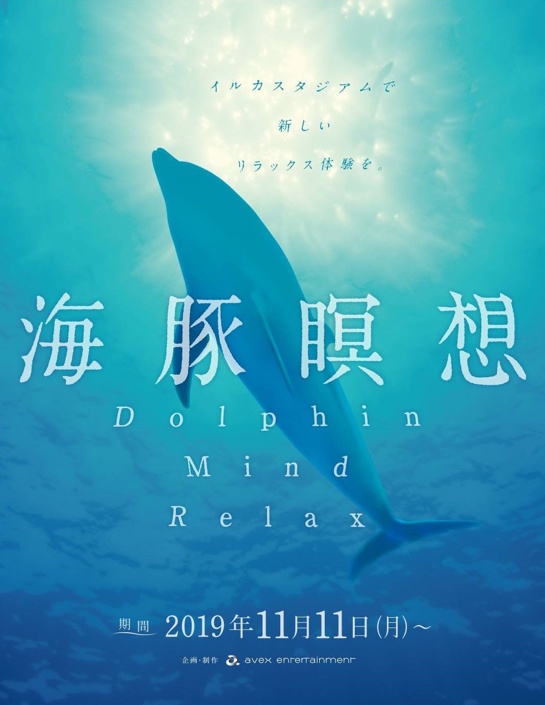 京都水族館 イルカの日常を一緒に過ごしてリラックスする新しいプログラム 海豚瞑想 Dolphin Mind Relax ２０１９年１１月１１日 月 スタート オリックス株式会社のプレスリリース