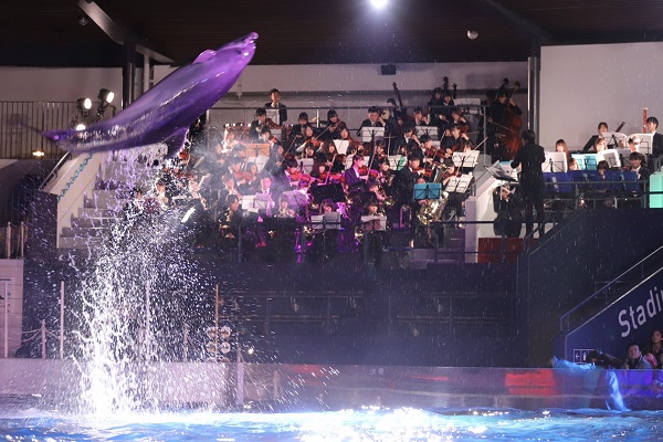 京都水族館 イルカと立命館大学交響楽団の生演奏によるコラボレーション １２月２２日 日 限定のイルカ パフォーマンスを開催 オリックス株式会社のプレスリリース